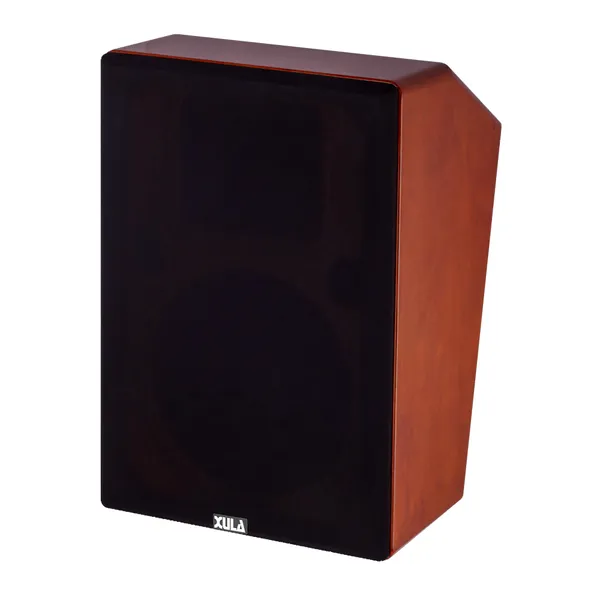 XULA/迅莱 CT10