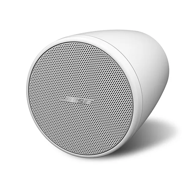 BOSE F2SP