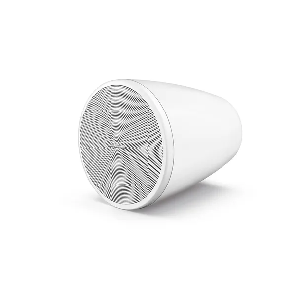 BOSE DM6PE